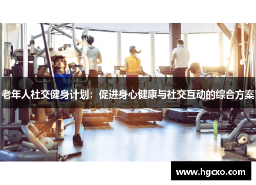 老年人社交健身计划：促进身心健康与社交互动的综合方案
